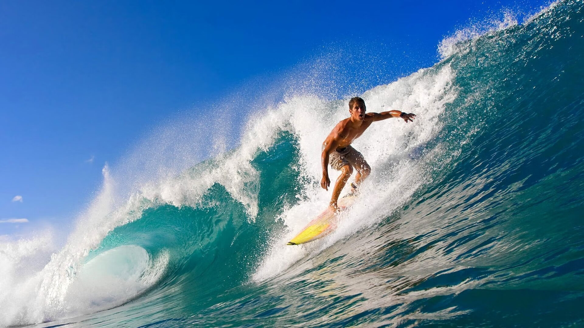 体育新闻中心打造青少年体育数字内容专区，青少年体育杂志电话